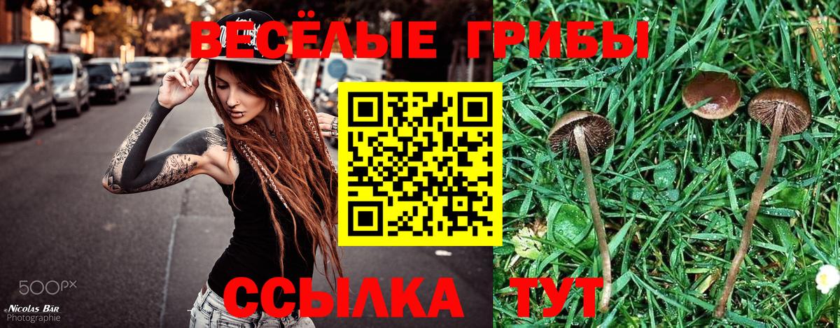 наркотики  Вход с VPN  Северобайкальск  Галлюциногенные грибы мицелий 