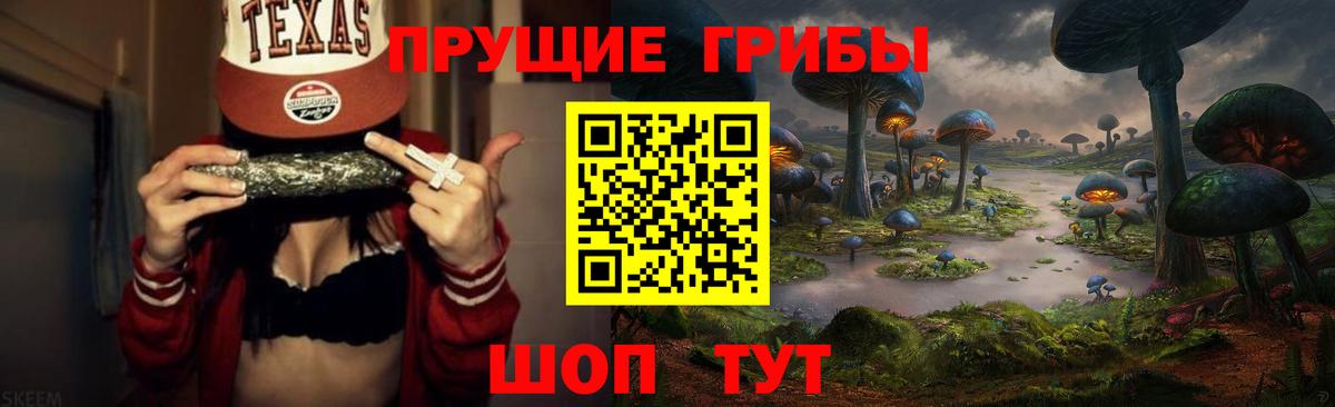 Галлюциногенные грибы Psilocybe Северобайкальск